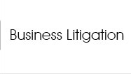 Business Litigation